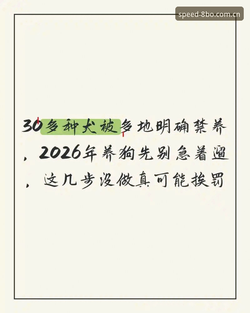 揭秘“更快找到真正入口赛事数据2026最新版本”：别急着下载，先绕过那些坑